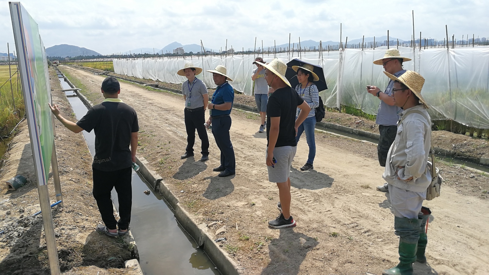 水稻所科研人员赴中种集团三亚南繁育种基地调研学习